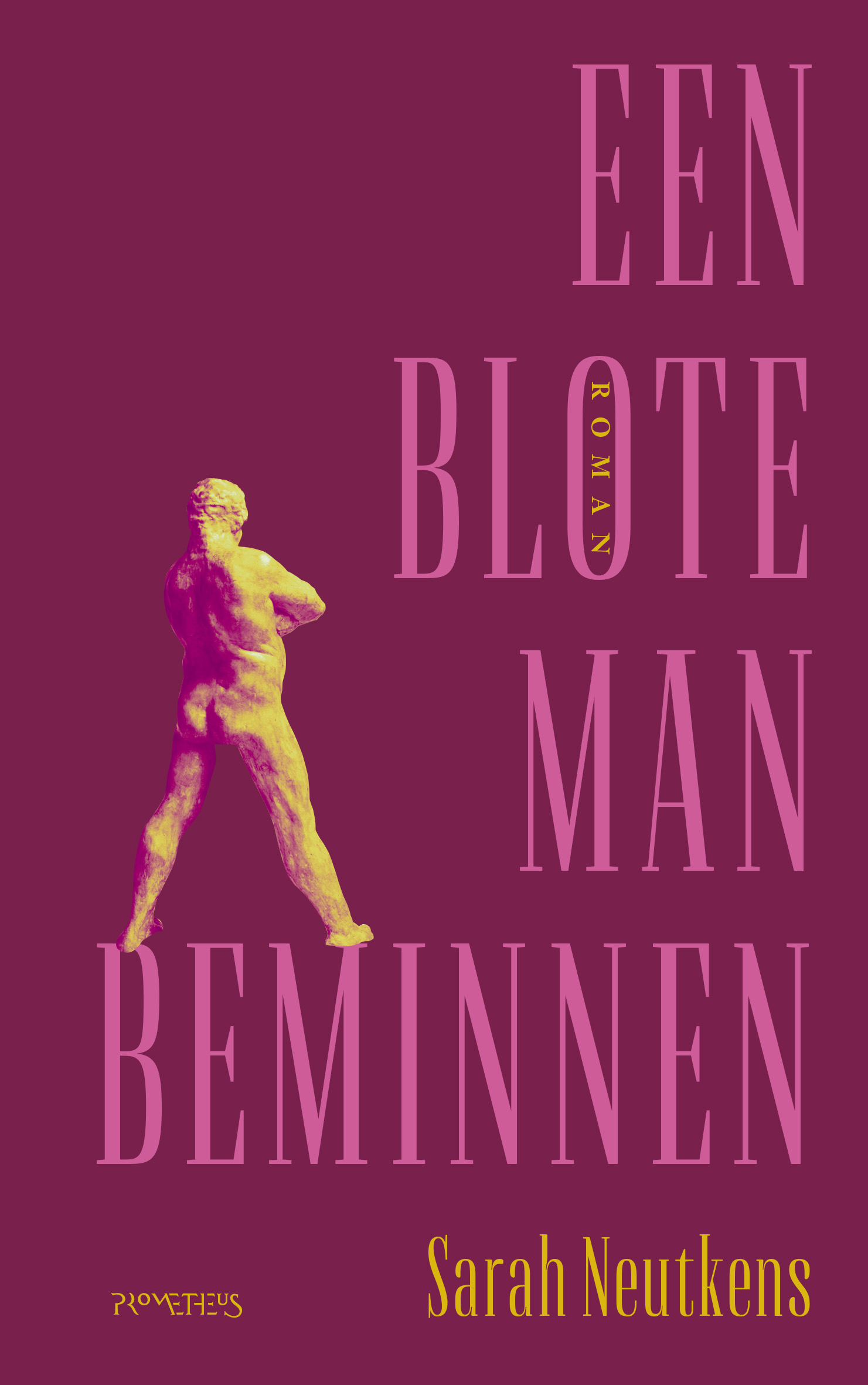 Een blote man beminnen book cover