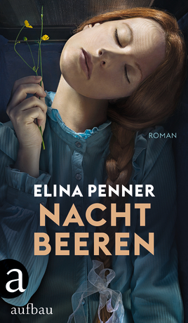 Nachtbeeren book cover