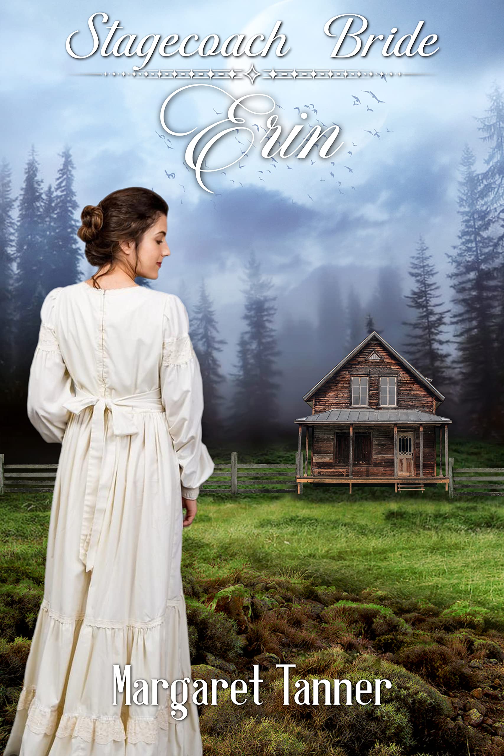 Stagecoach Bride Erin book cover