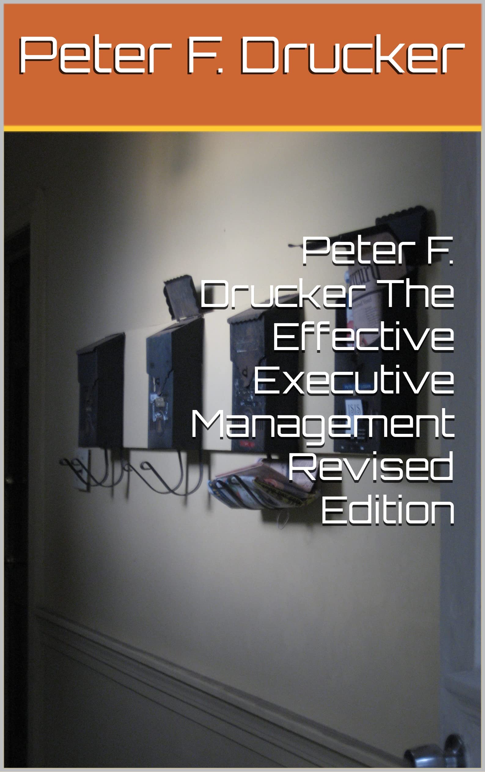 PETER F DRUCKER MANAGEMENT PDF visual data 2