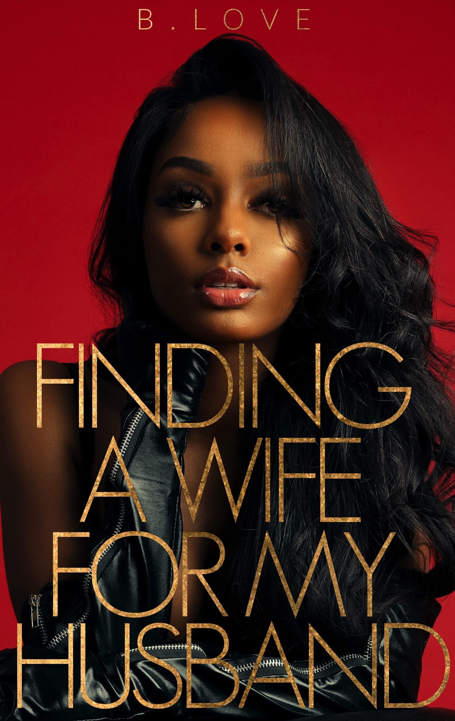 Finding A Wife for My Husband book cover
