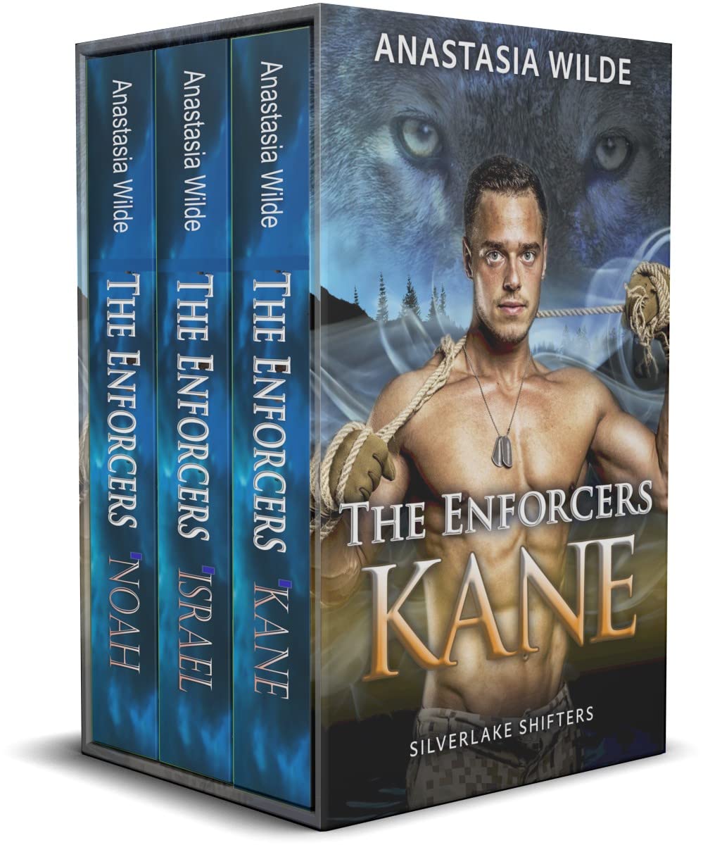 Silverlake Enforcers Box Set