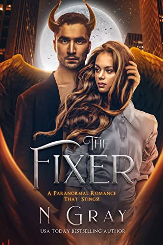 The Fixer book cover