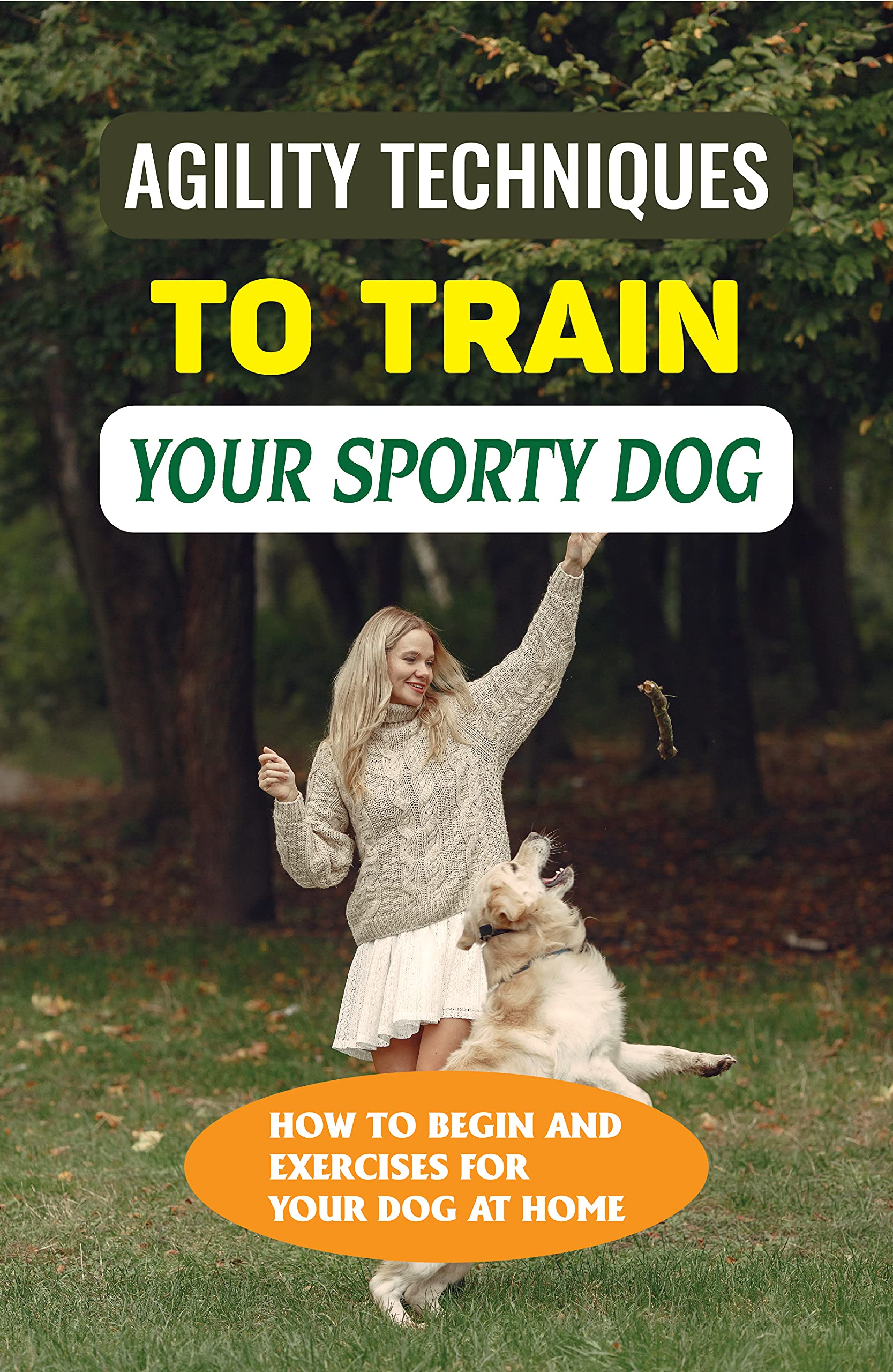 Agility Techniques To Train Your Sporty Dog How To Begin And Exercises