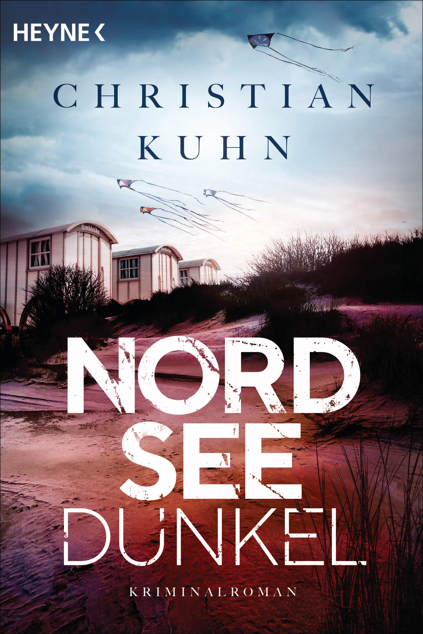 Nordseedunkel: Kriminalroman (Tobias-Velten-Reihe 2)