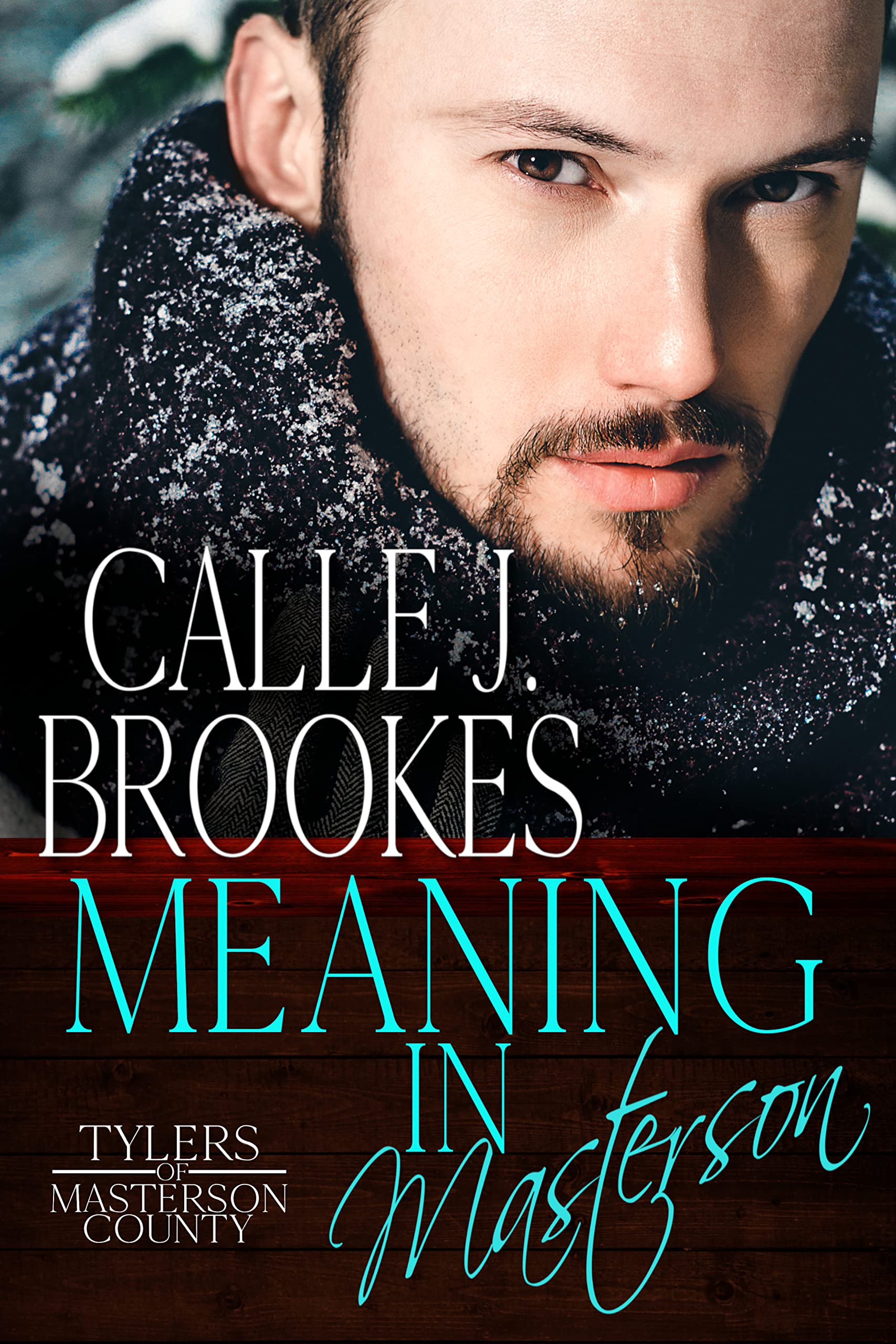 Meaning in Masterson book cover