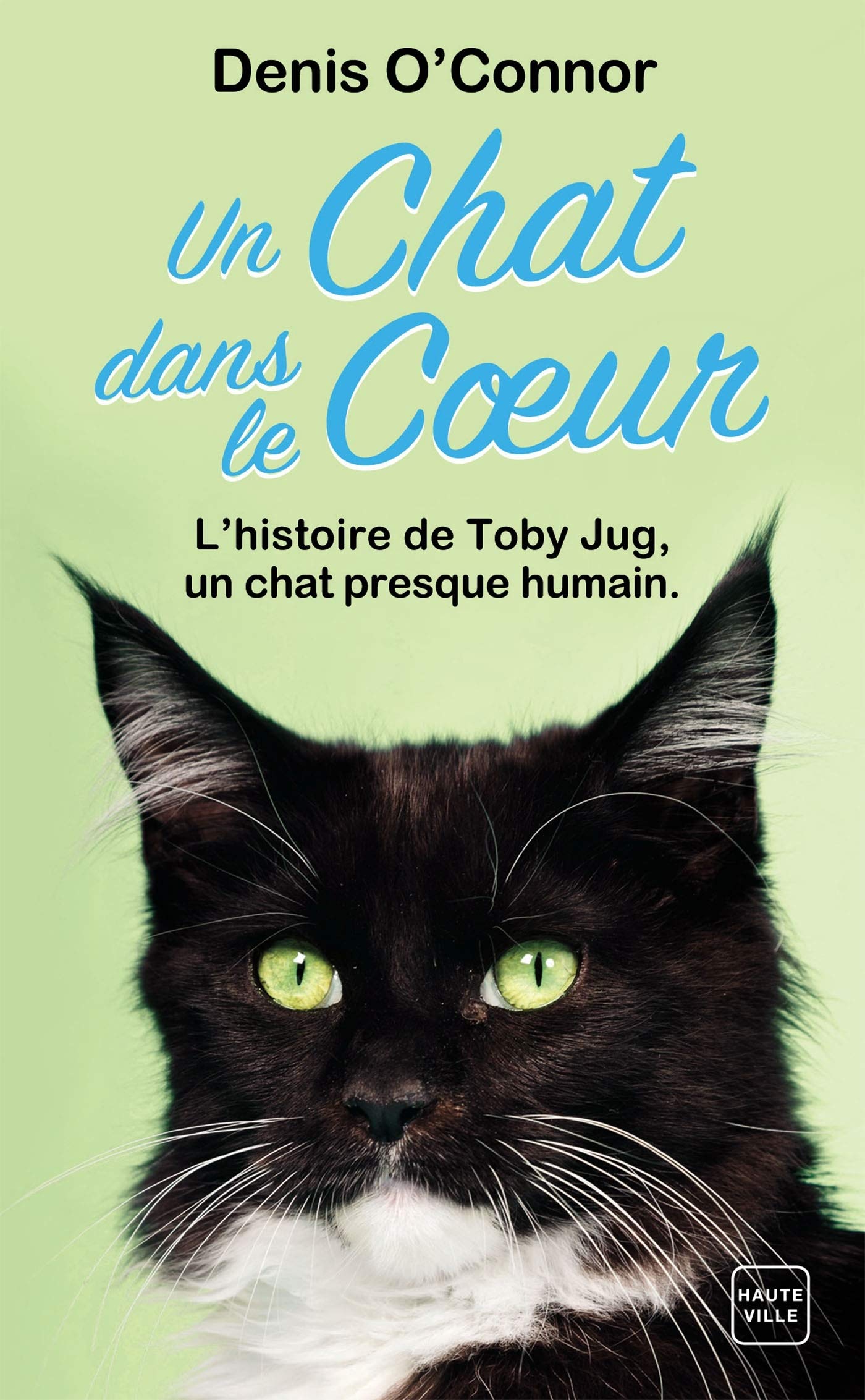 Un chat dans le coeur : Une année dans la vie d'un chat rescapé by ...