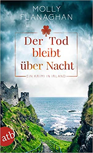 Der Tod bleibt über Nacht: Ein Krimi in Irland