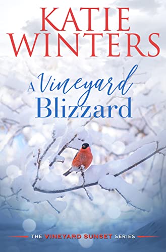 A Vineyard Blizzard book cover