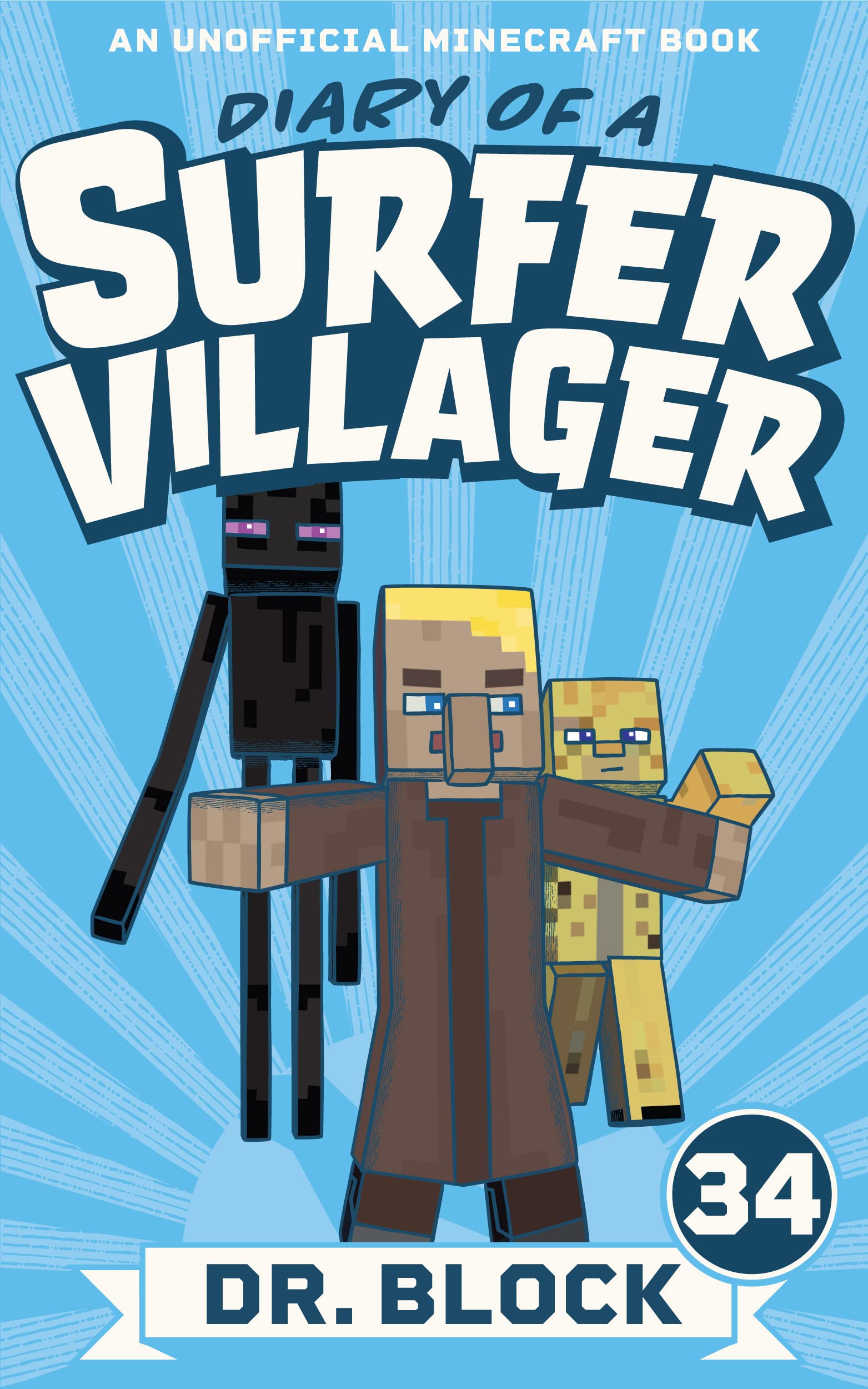 Diary of a Surfer Villager, Book 34 book cover