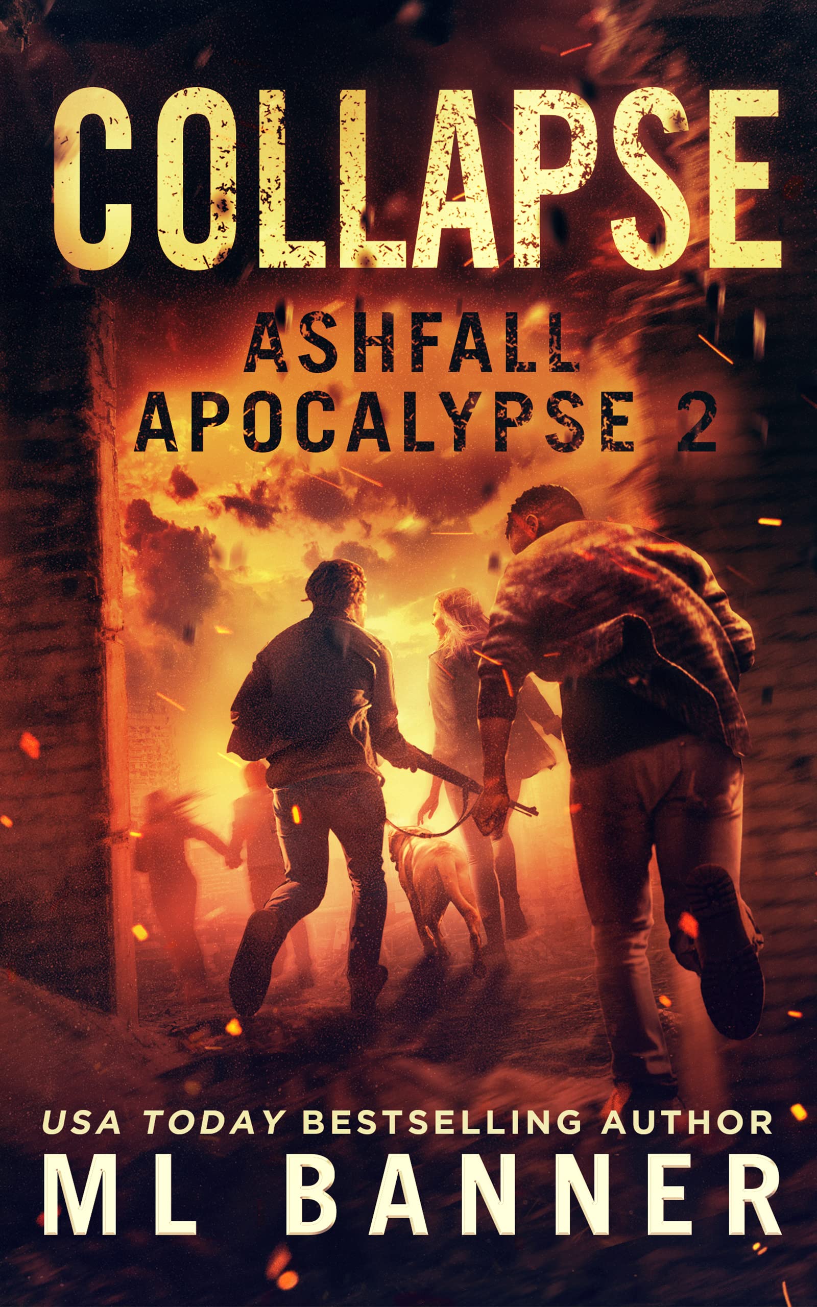 Collapse book cover