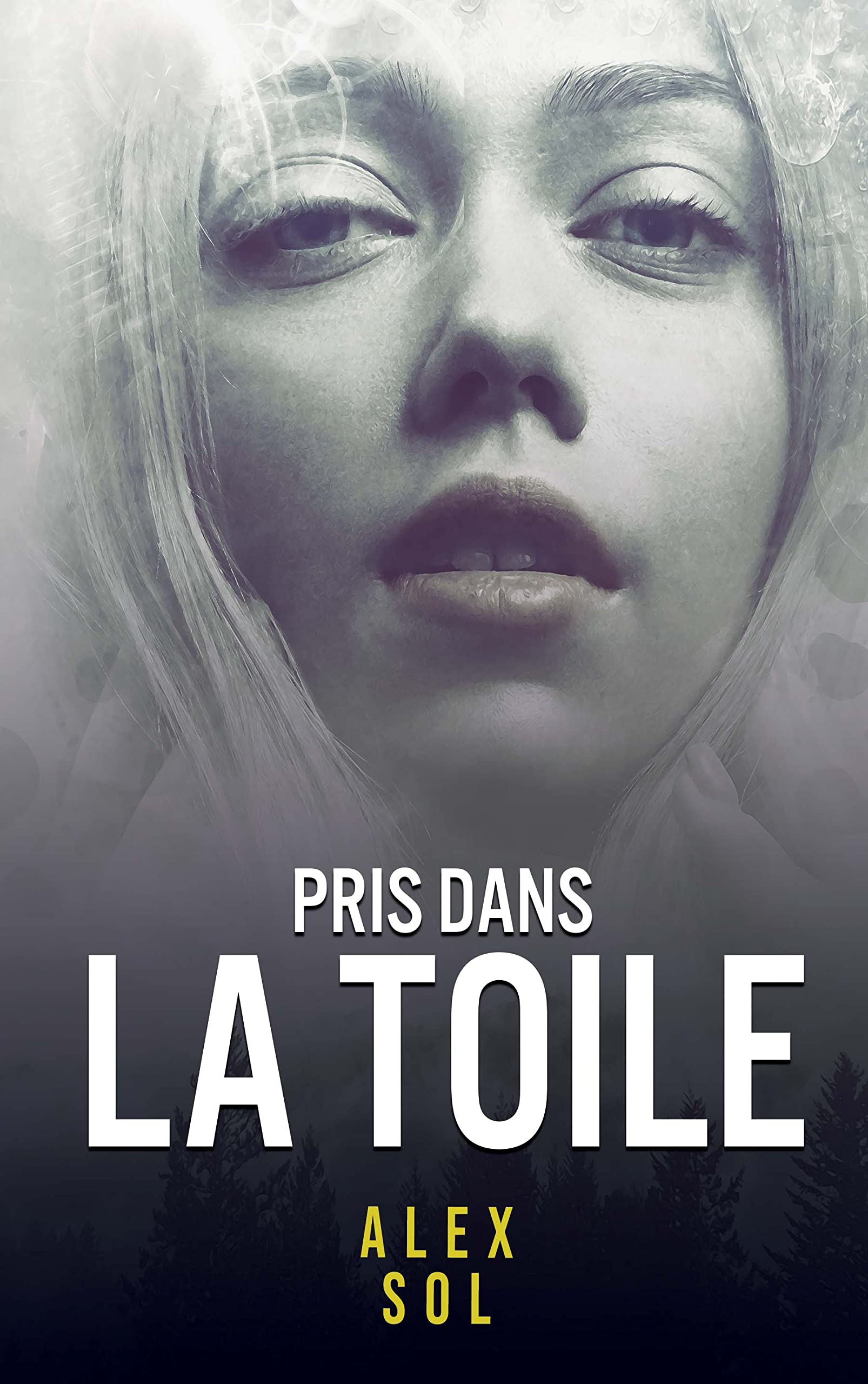 Pris dans la toile