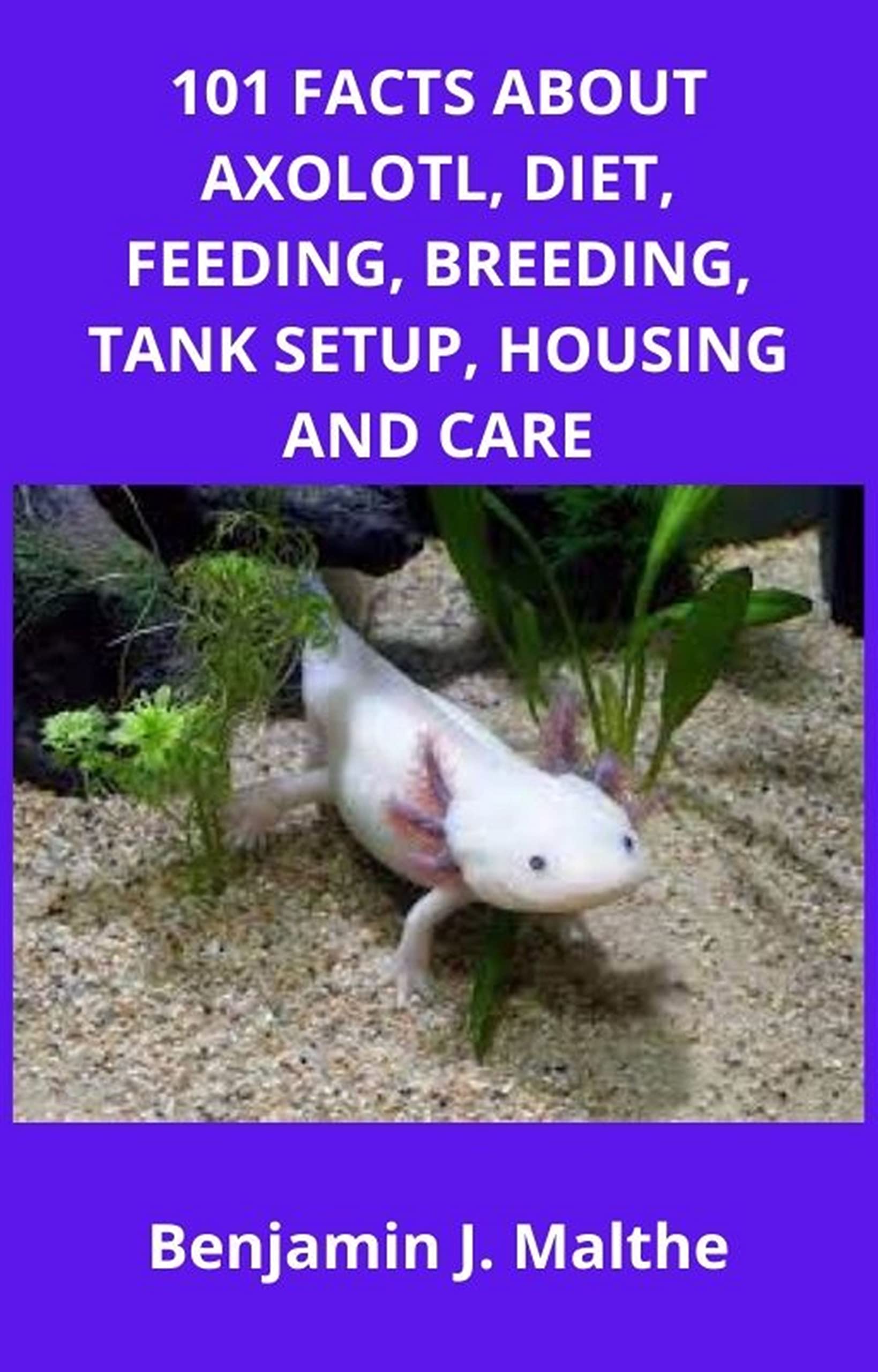 101 FACTS ABOUT AXOLOTL, DIET, FEEDING, BREEDING, TANK SETUP, HOUSING