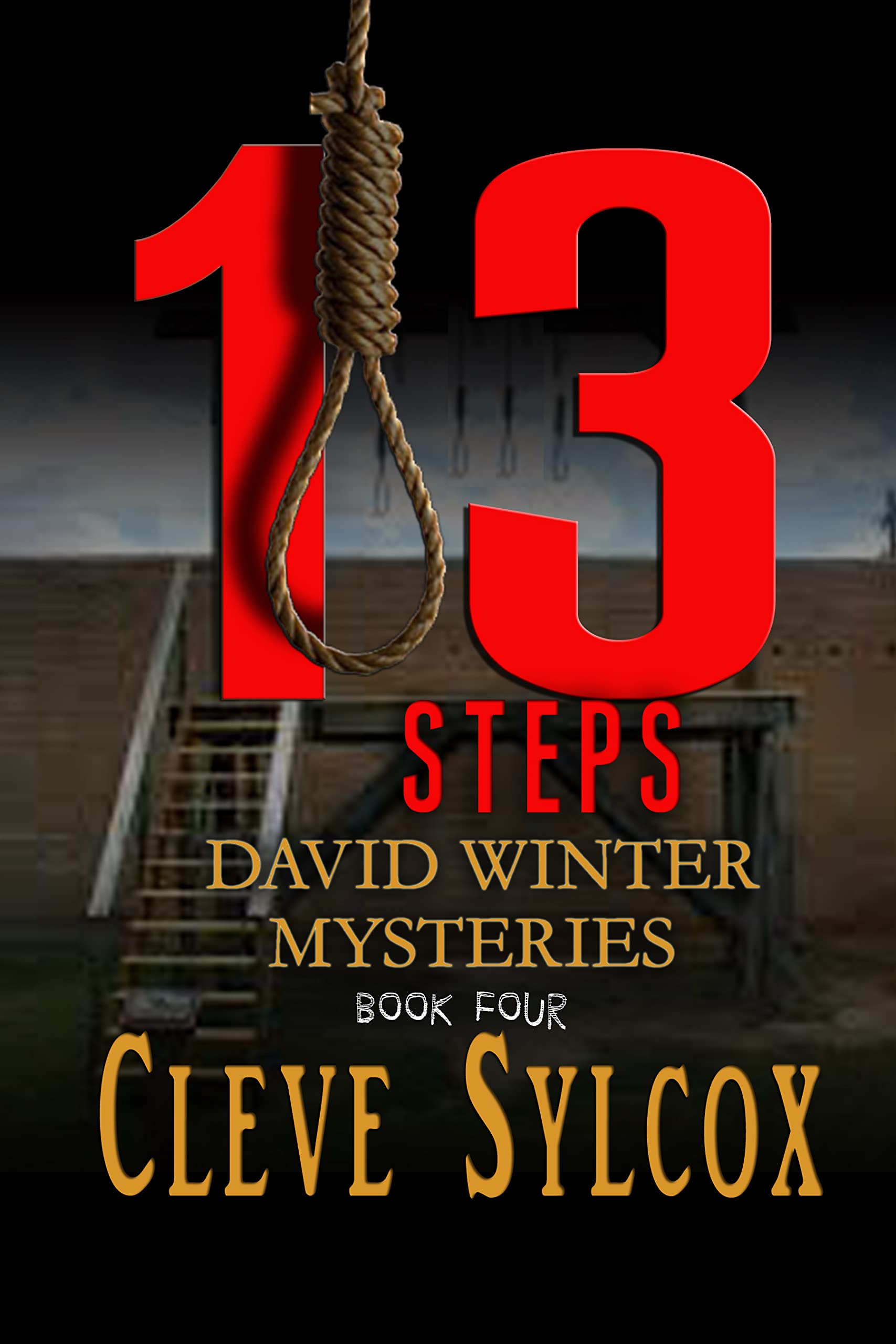 13 Steps book cover