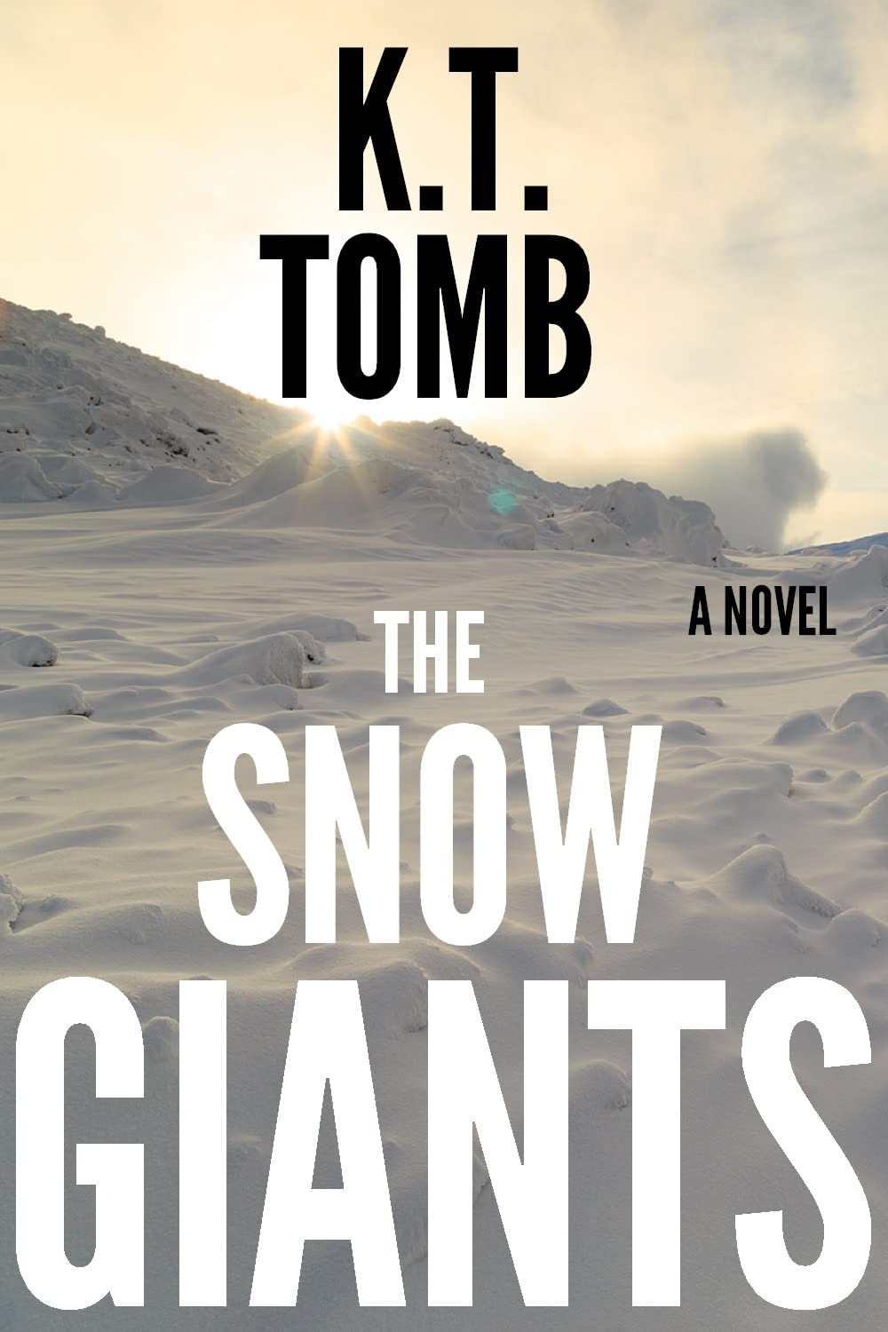 The Snow Giants book cover
