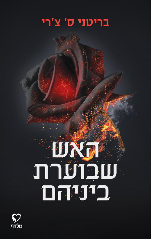 האש שבוערת ביניהם (Elements, #2)