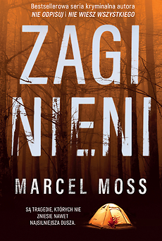 Echo book cover 2