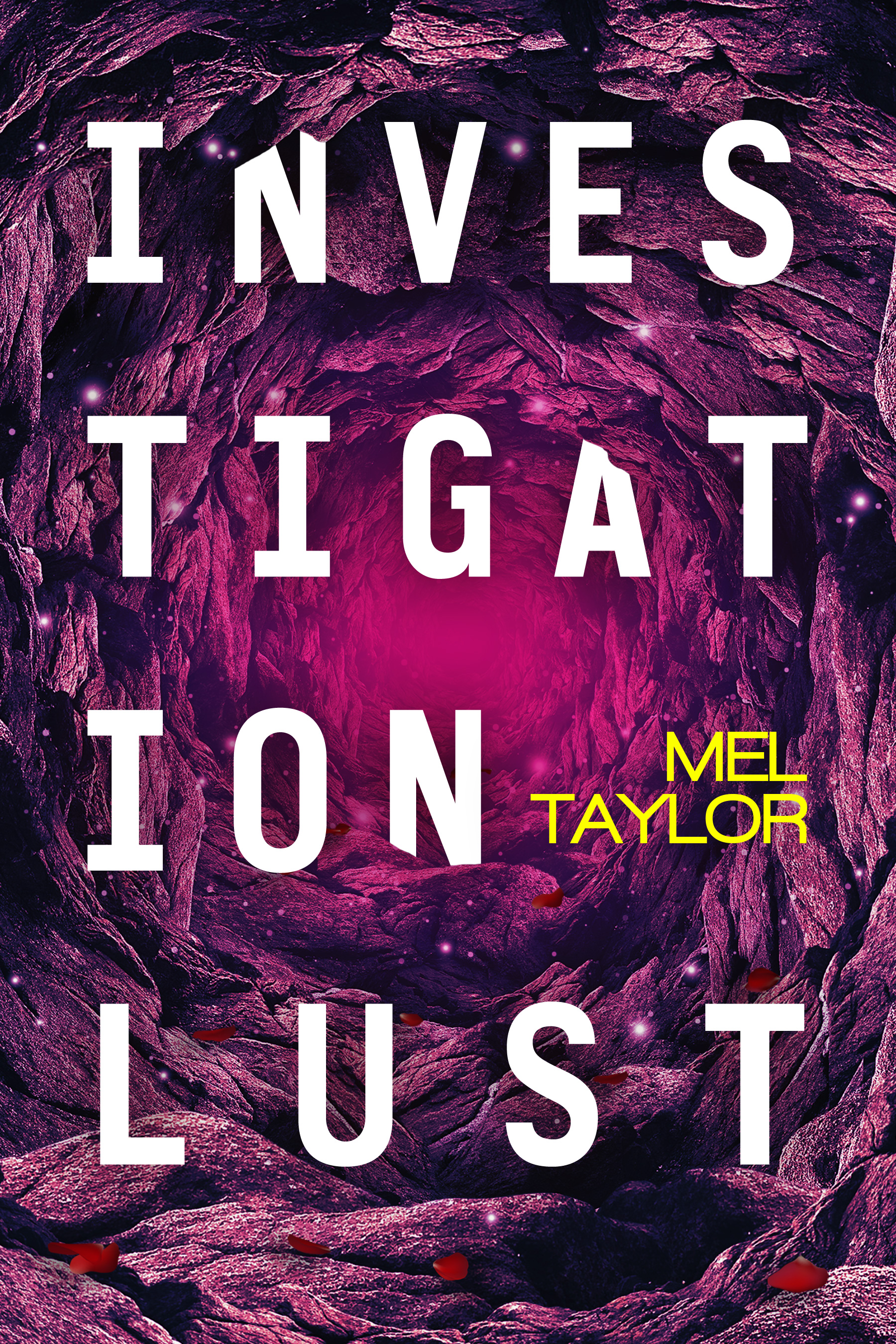 Investigation Lust book cover