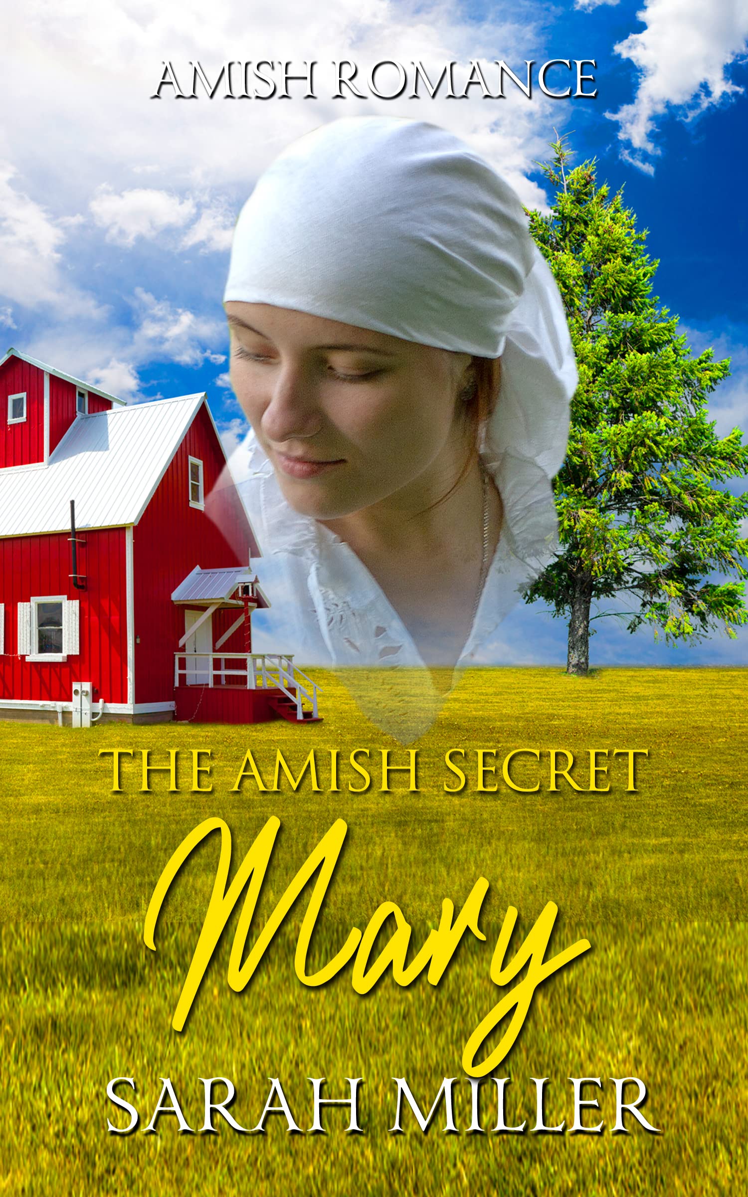 Mary book cover