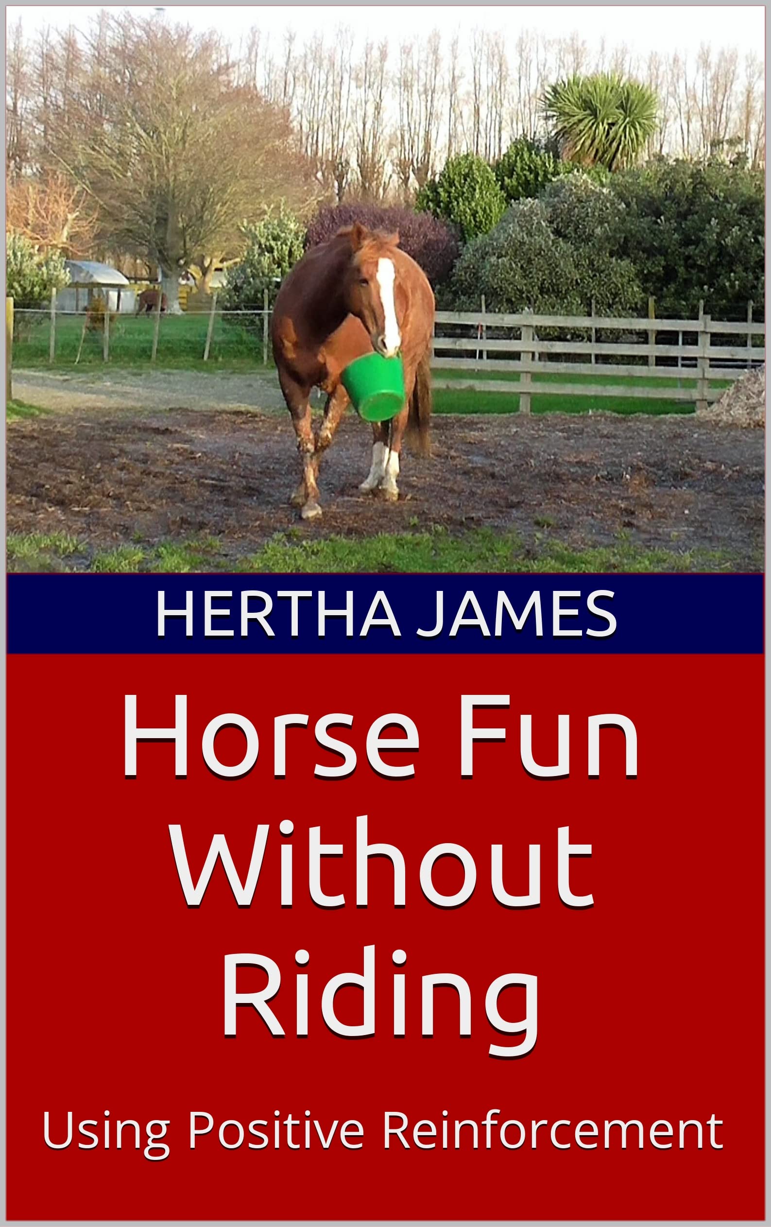 Horse Fun Without Riding Using Positive Reinforcement by Hertha James