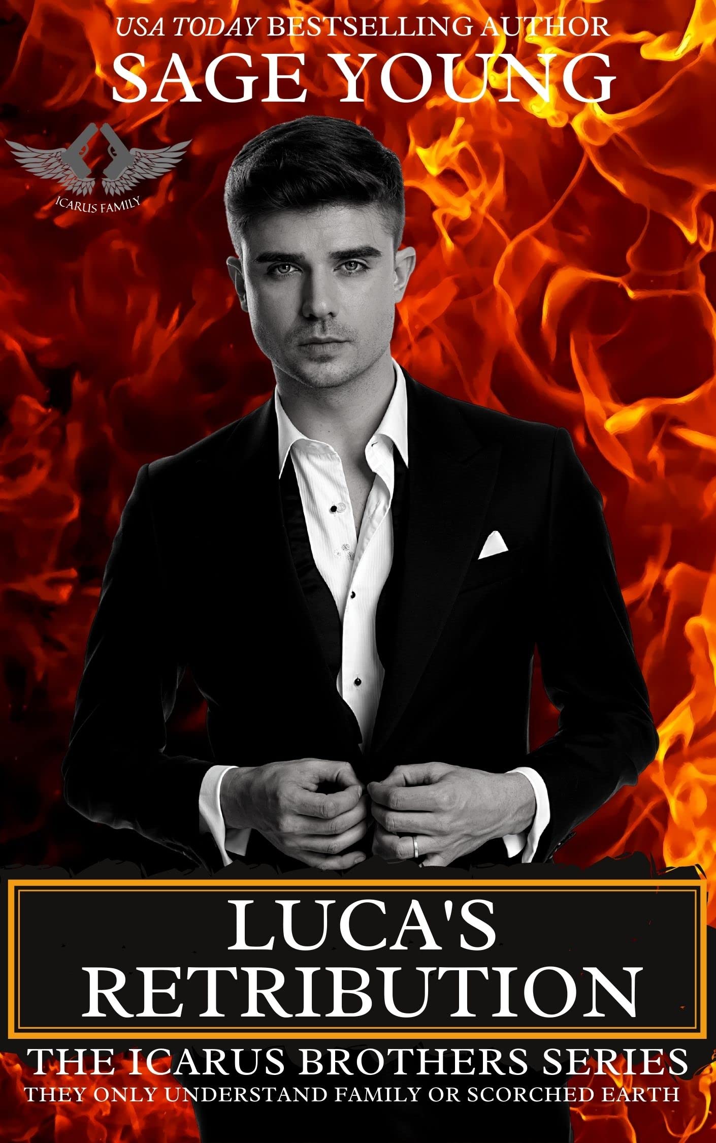 Luca's Retribution book cover