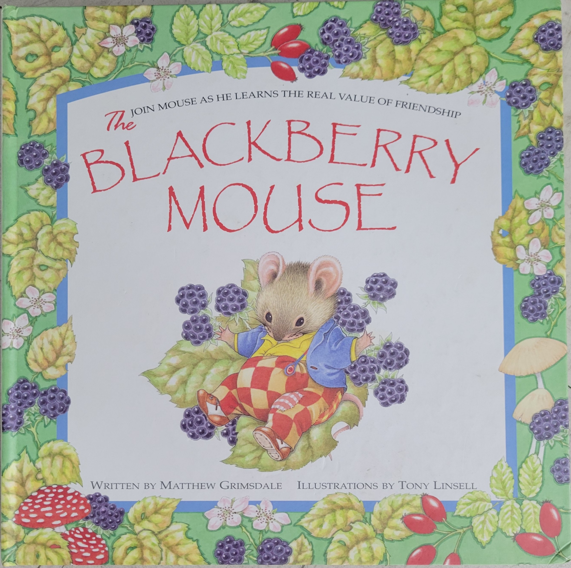 The Blackberry Mouse by Matthew Grimsdale Goodreads