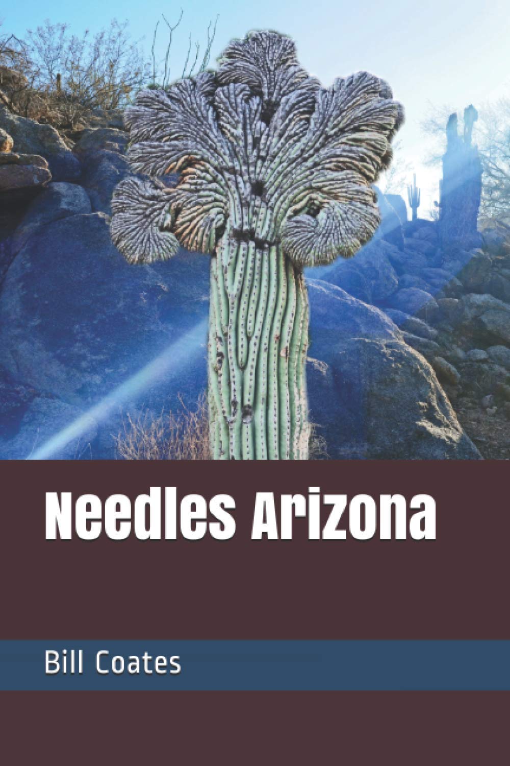 Needles Arizona by Bill Coates Goodreads