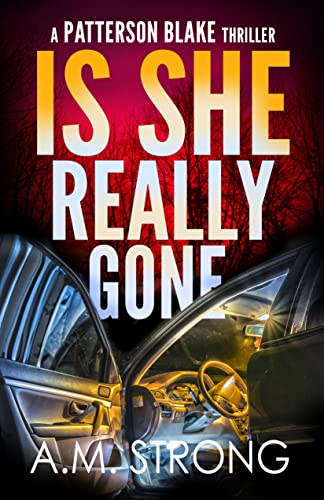 Patterson Blake FBI Mystery book cover 3
