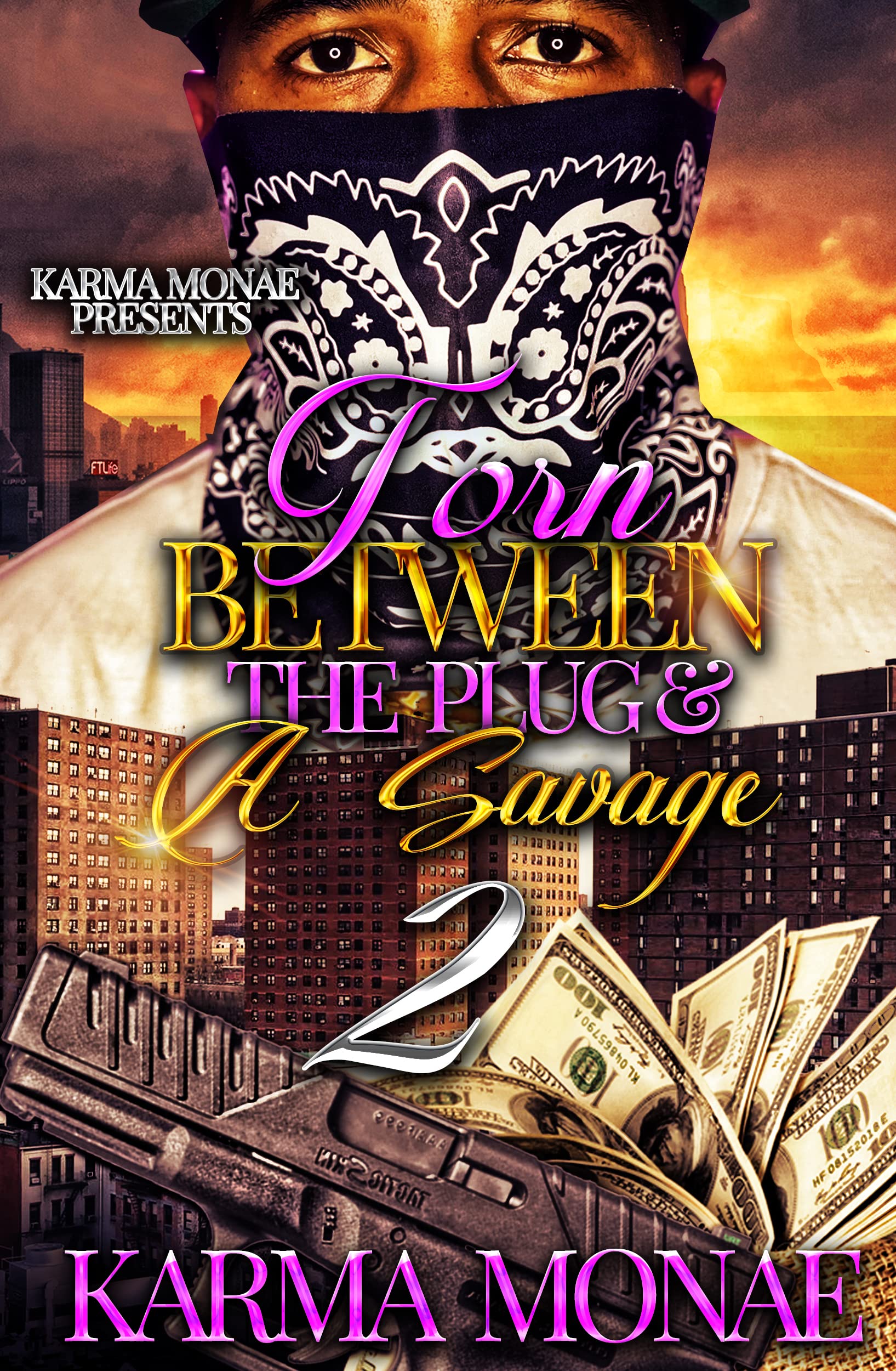 Torn Between the Plug & A Savage 2 book cover