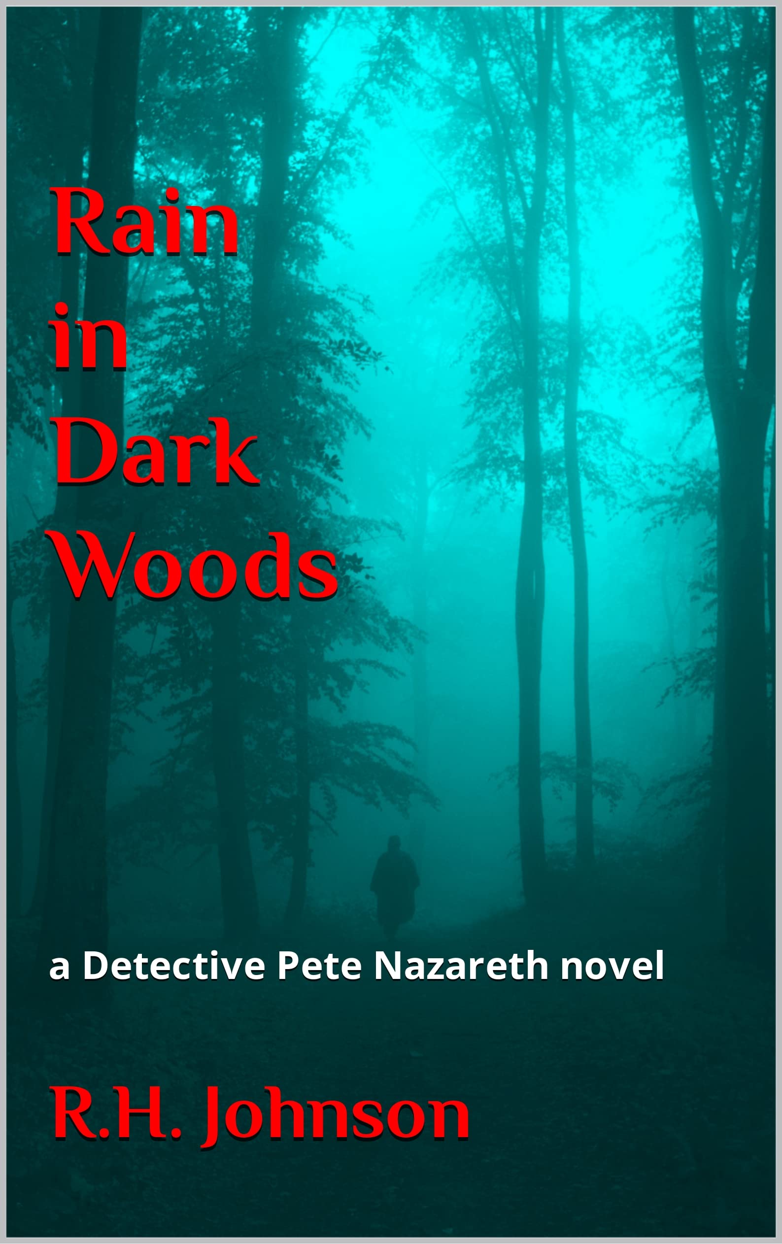 Rain in Dark Woods