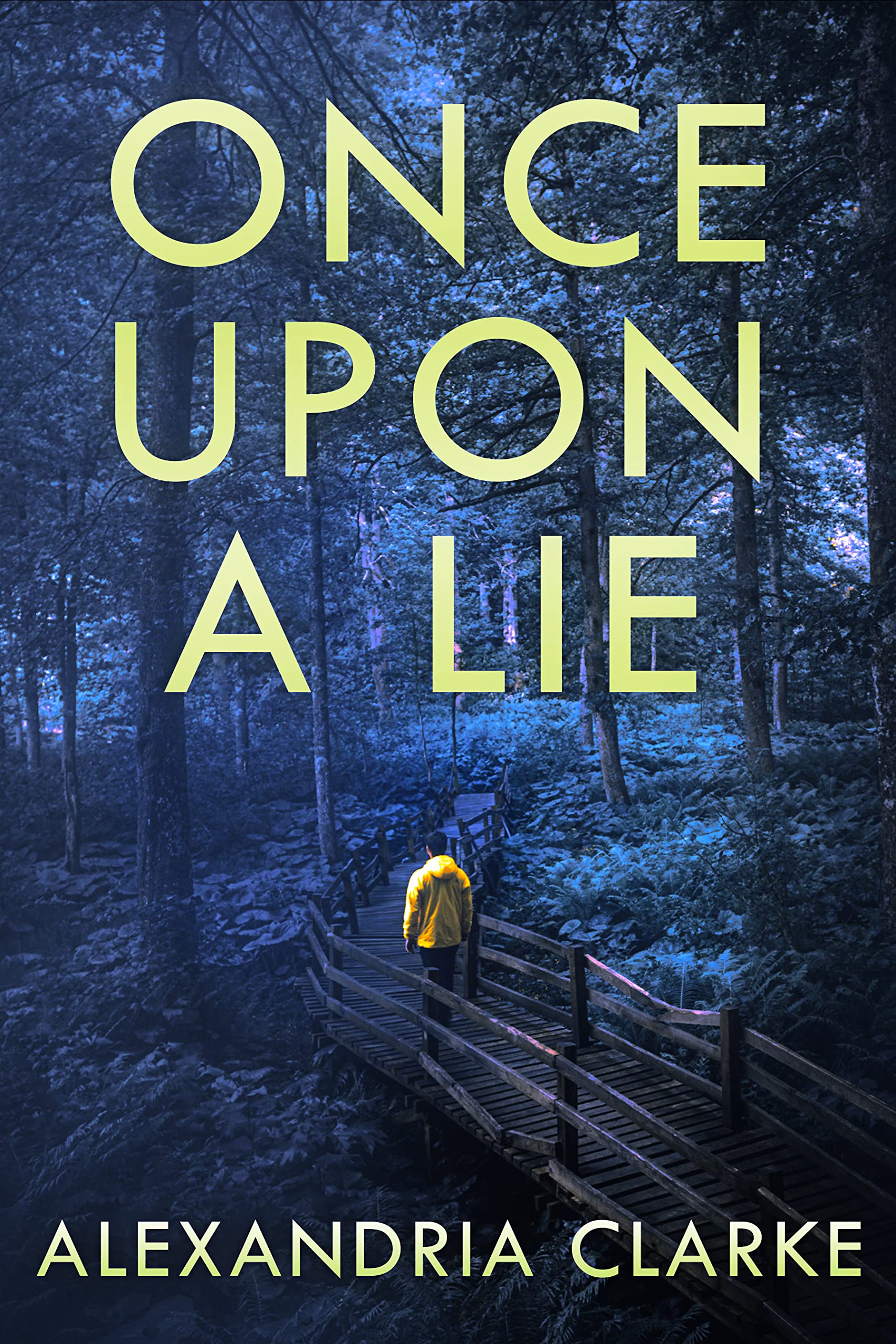 Once Upon a Lie book cover