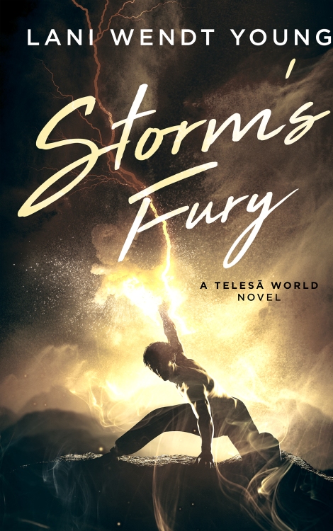 Storm’s Fury book cover