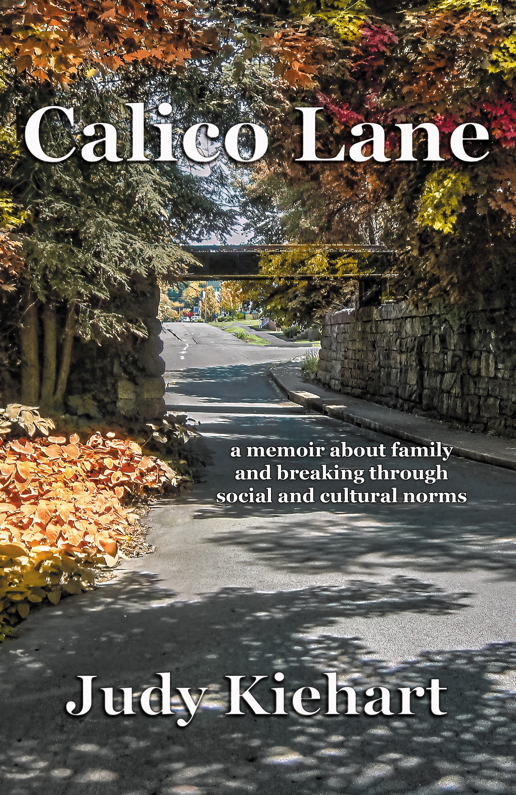 Calico Lane by Judy Kiehart Goodreads