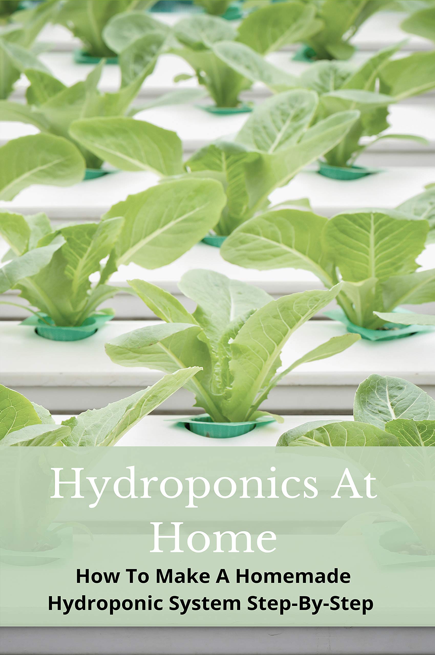 Hydroponics At Home How To Make A Homemade Hydroponic System StepBy