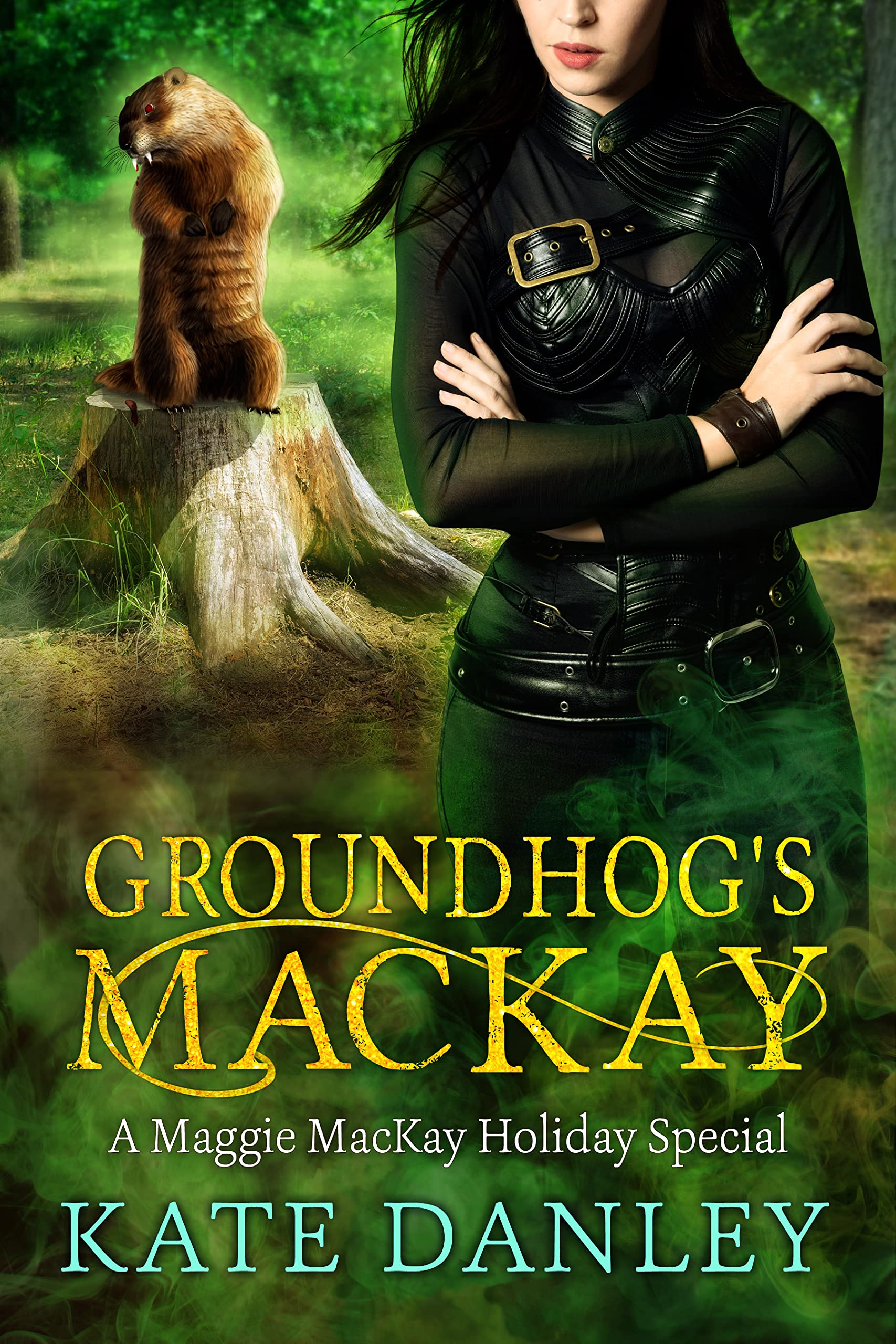 Groundhog's MacKay book cover