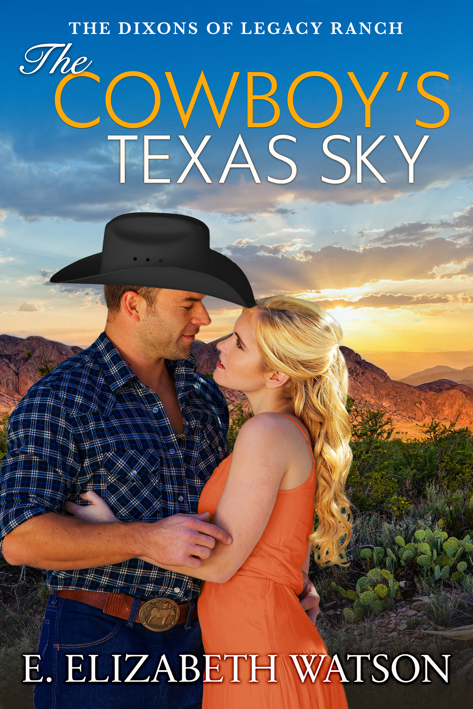 The Cowboy’s Texas Sky