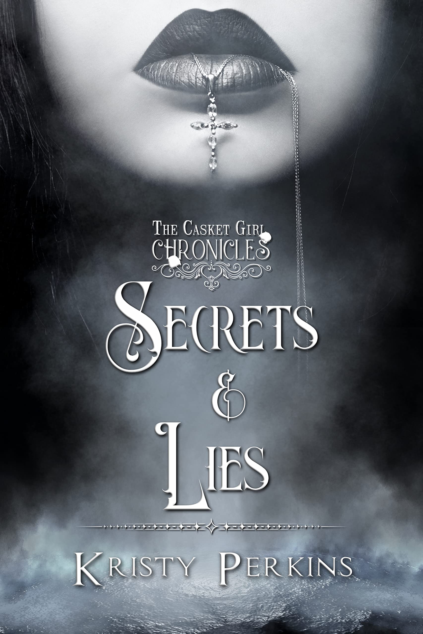 Secrets & Lies book cover
