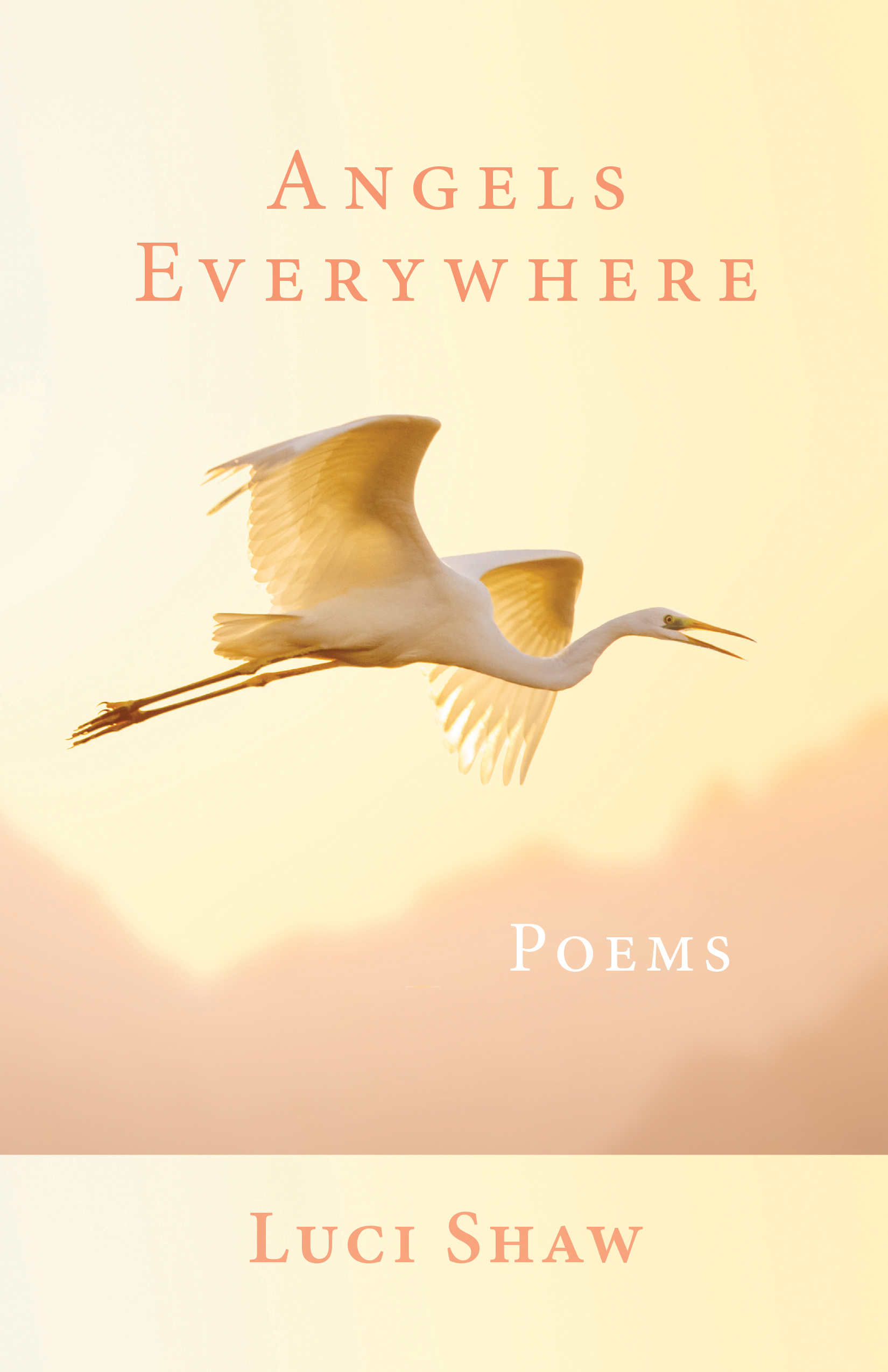 Angels Everywhere book cover
