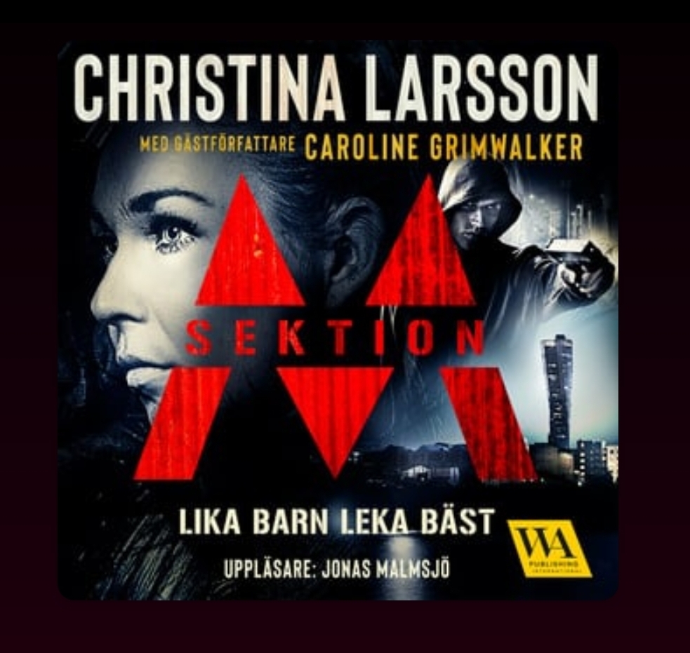 Sektion M book cover