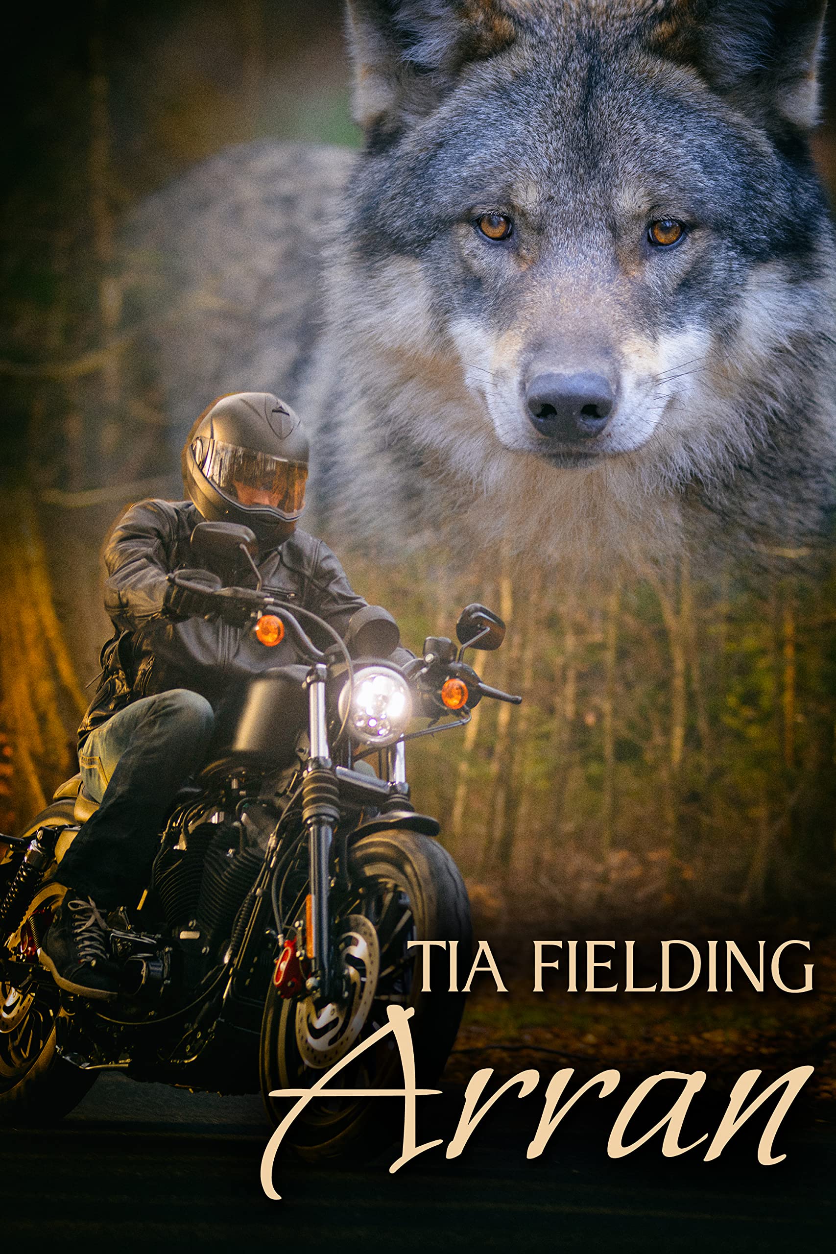 Wolfy book cover 2