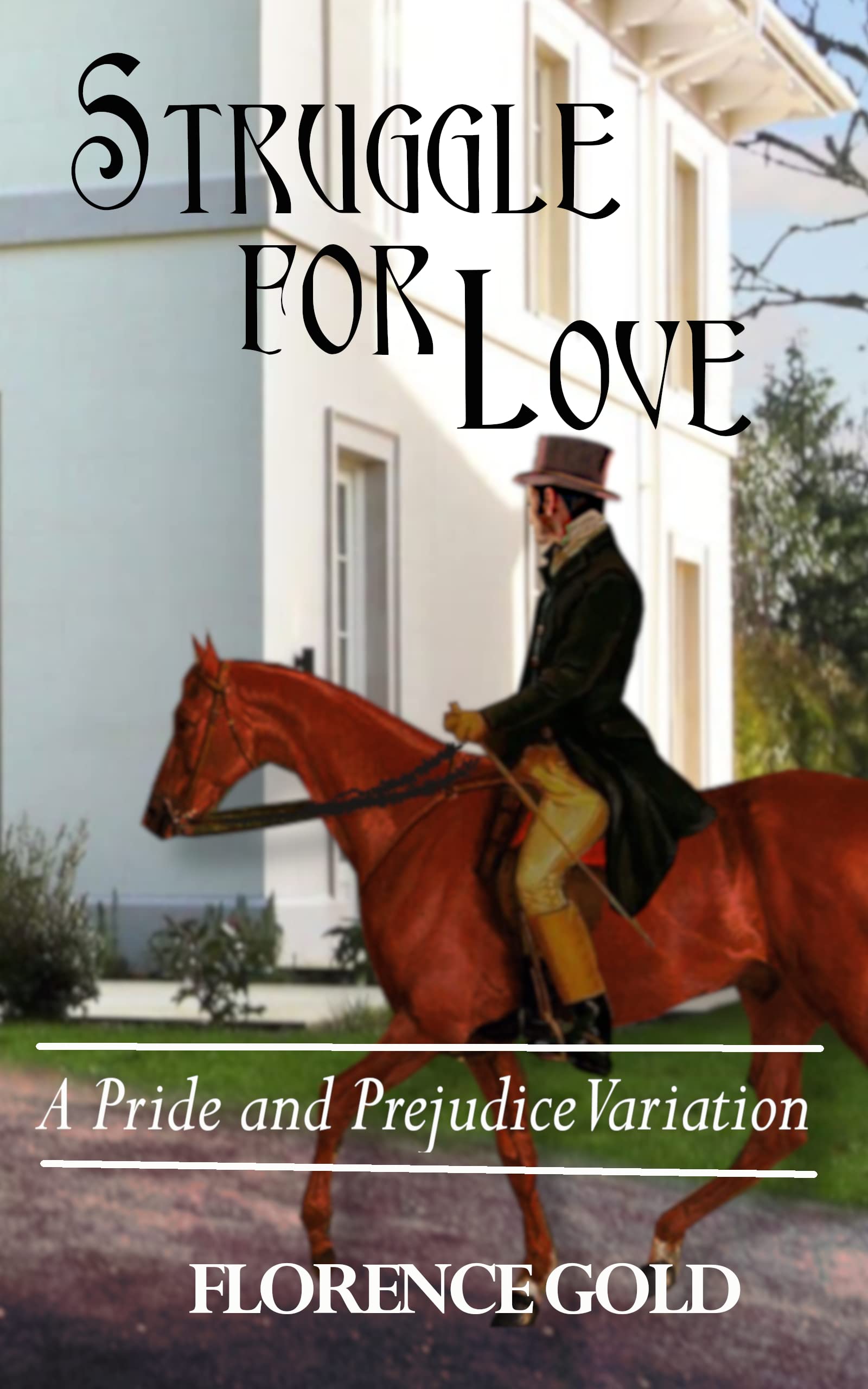 Struggle for Love book cover