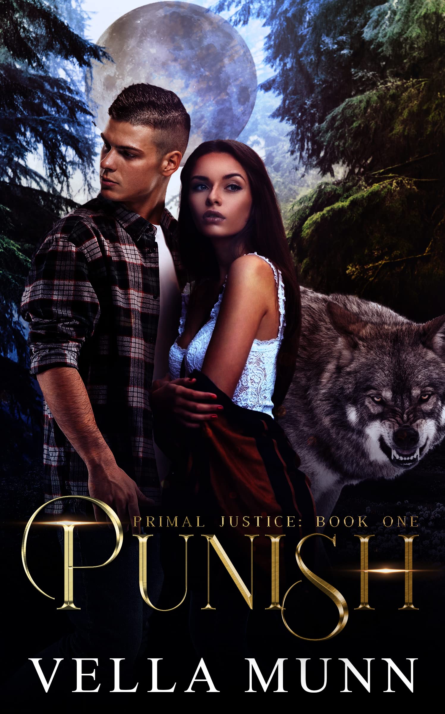 Punish book cover