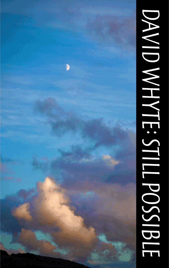 Still Possible book cover