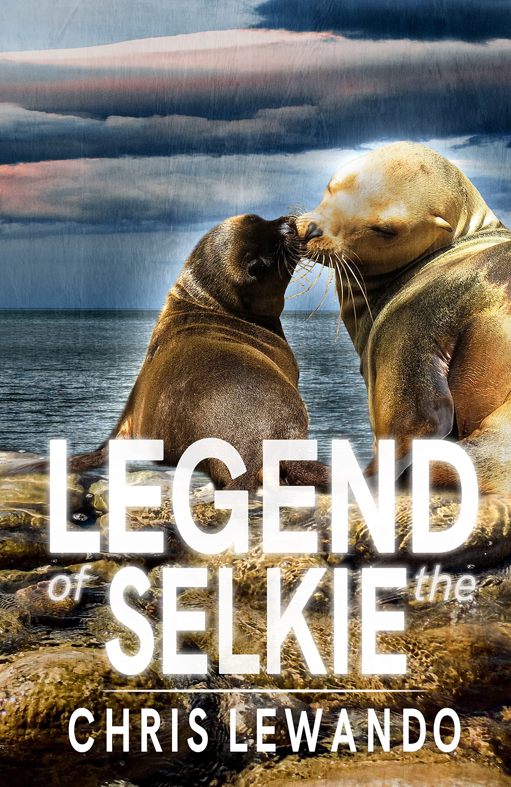 Legend of the Selkie: A mystery set in west Cork, Ireland