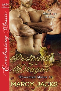 Protected by a Dragon book cover