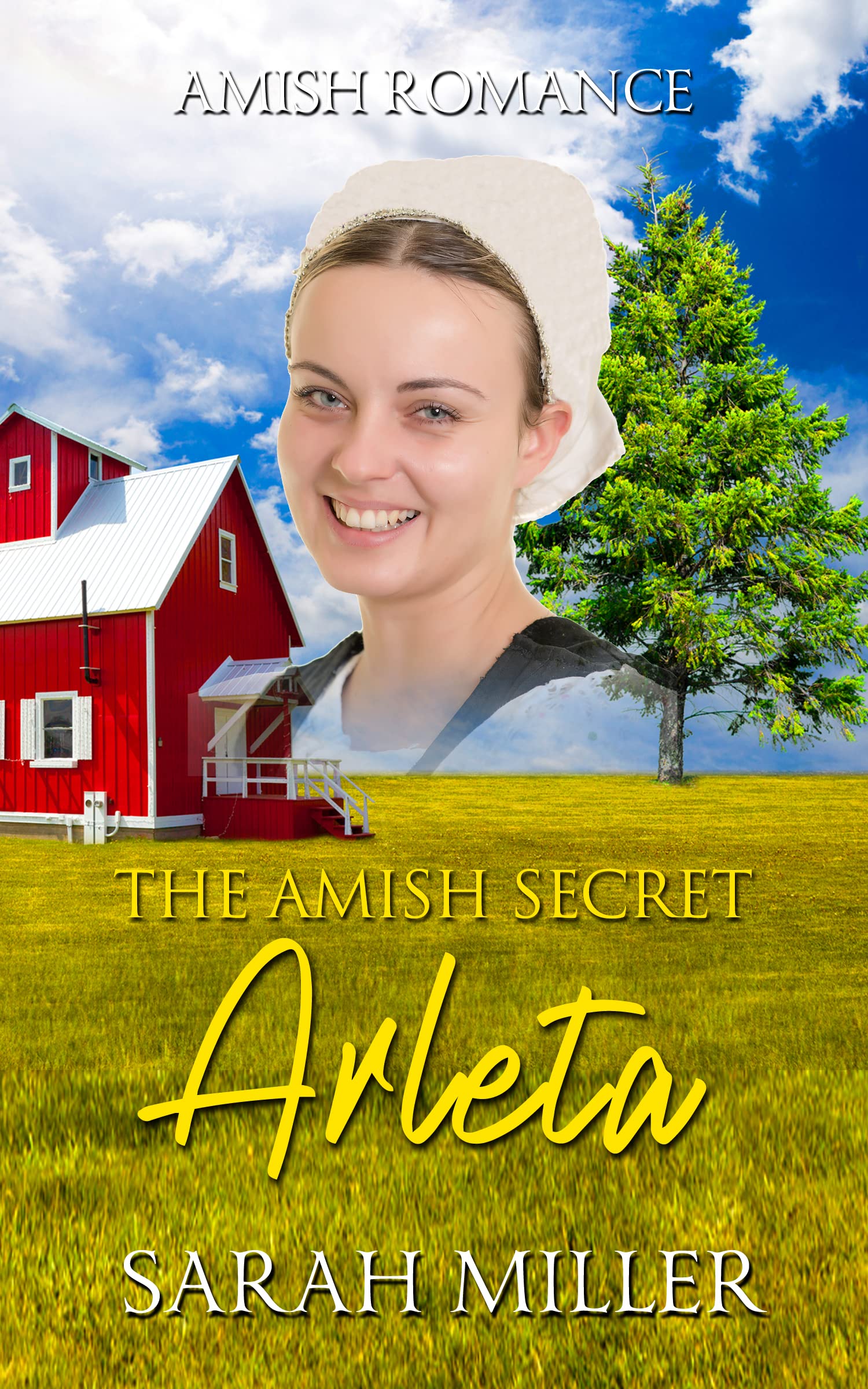 Arleta book cover