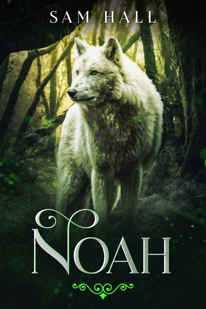 Noah book cover