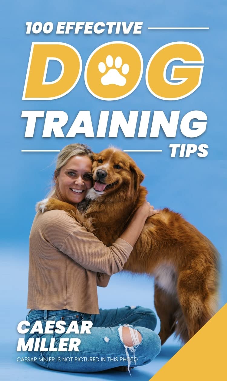 100 Effective Dog Training Tips The 1 Puppy Training Guide To Read Before Getting Your First