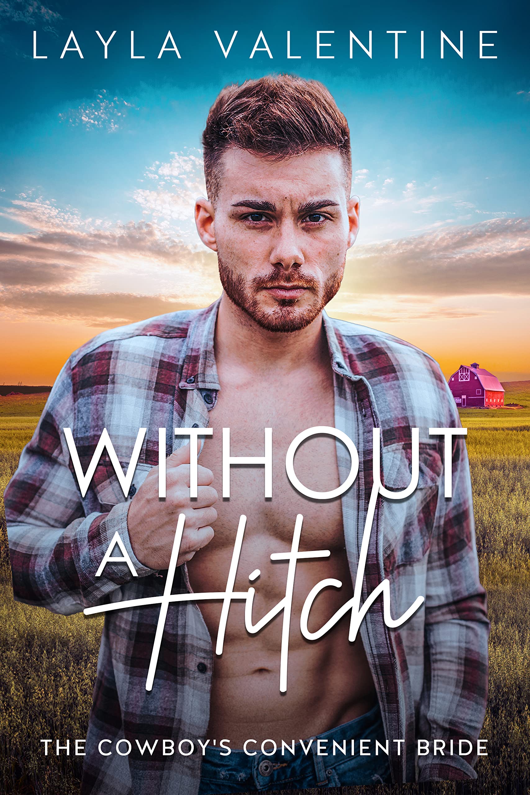 Sizzling Hot Cowboys book cover 2