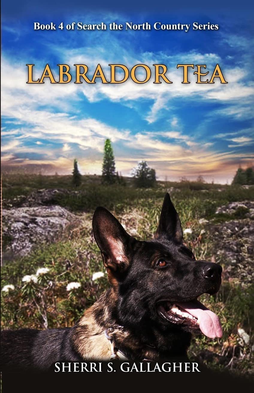 Labrador Tea: Book 4 of Search the North Country Series